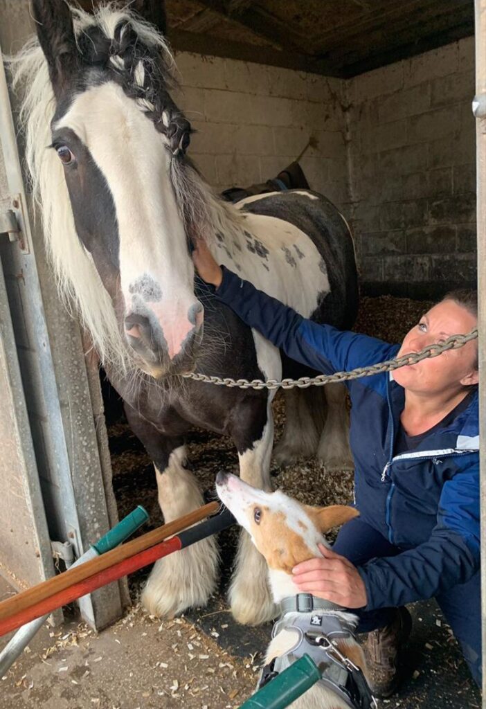 Nicole caring for her horse